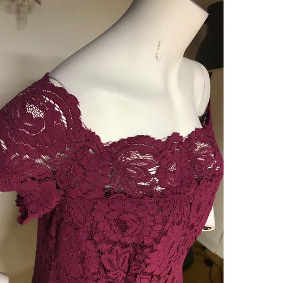 NWT 18 PLUS SIZE Le Chateau Deep Wine Plum Fit Flare Skater Lace Dress Formal - Picture 5 of 7